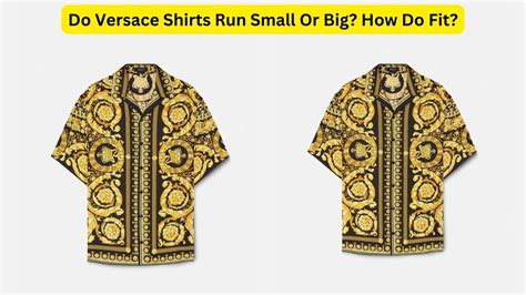 does versace collection shirts run small|farfetch Versace t shirt.